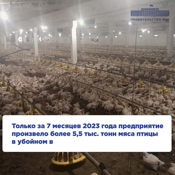 Производственные мощности Чернухинского отделения ГУП "Региональный аграрный холдинг Луганской Народной...