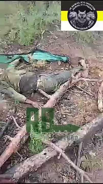 �� ��������������� ����������� ���������� "����� ������" ����������� "�������� "��� ��� ����� ��������� �������