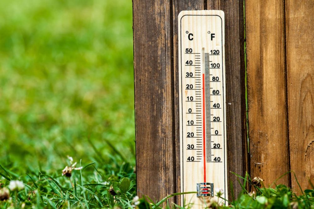 ���� � �������� ����� �������, �� �� �������� �����