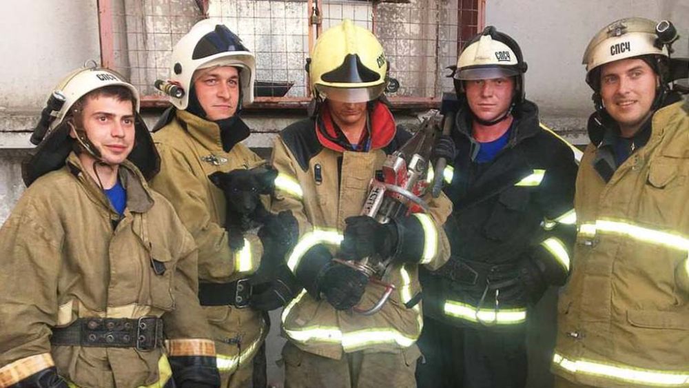 �� �������� ������� ��������� ��� ������ ��������� ����� � ��������