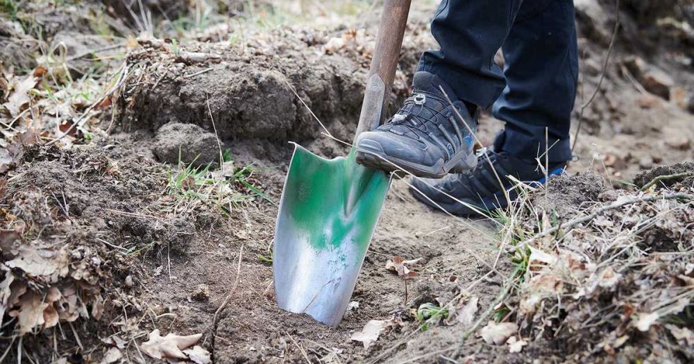 �������: ���������� �������� ���������� ����������� ��� ������������