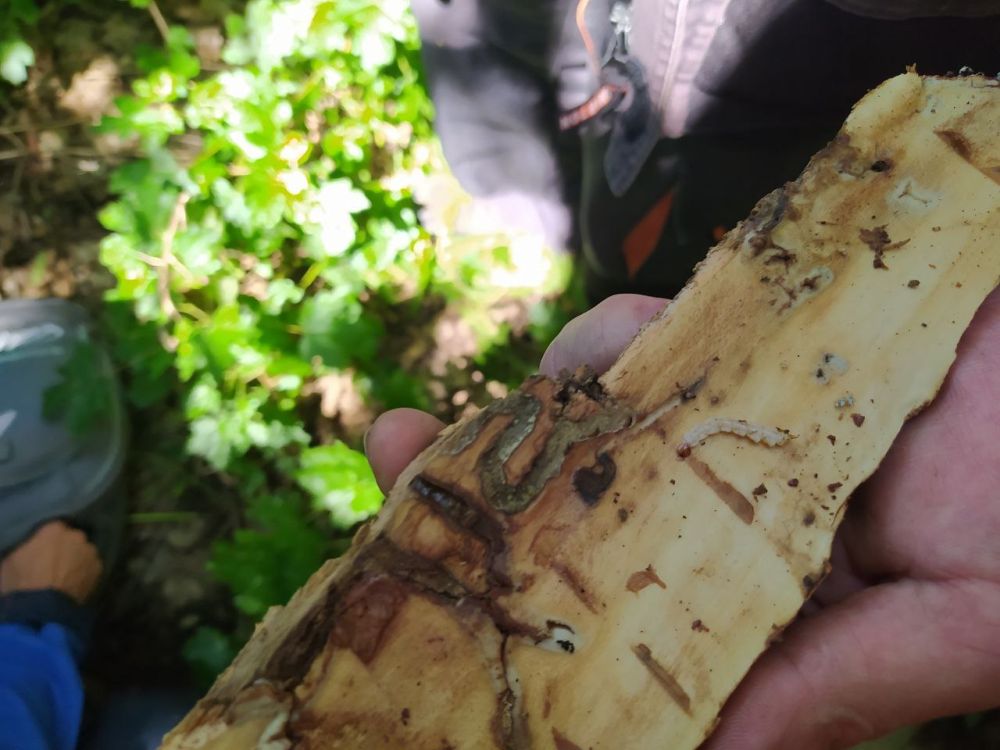 � ��������� �������� ���������� ����������� ����������� �������������� ���� �� �������� ���������� ������