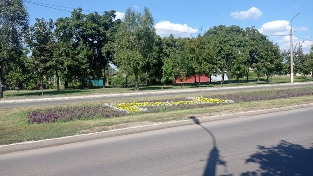 ������ � ���� Z: ��������� ����������� ���������� ������� ������ �� ������