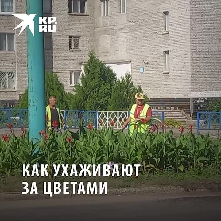 ������ � ���� Z: ��������� ����������� ���������� ������� ������ �� ������