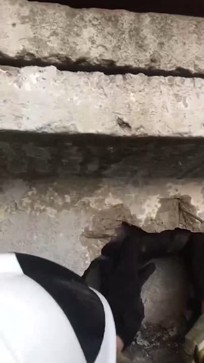 ��������� ��������� ��������� �����, ����������� ����� ������ � �������