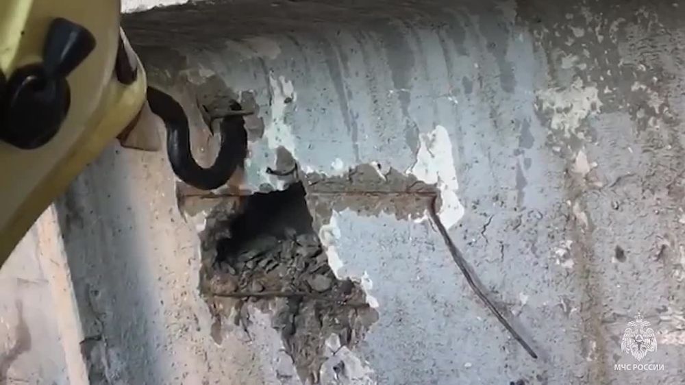 � �������� ���������� ��� �������� ������� �������� ����� � ������ ����� �� �������