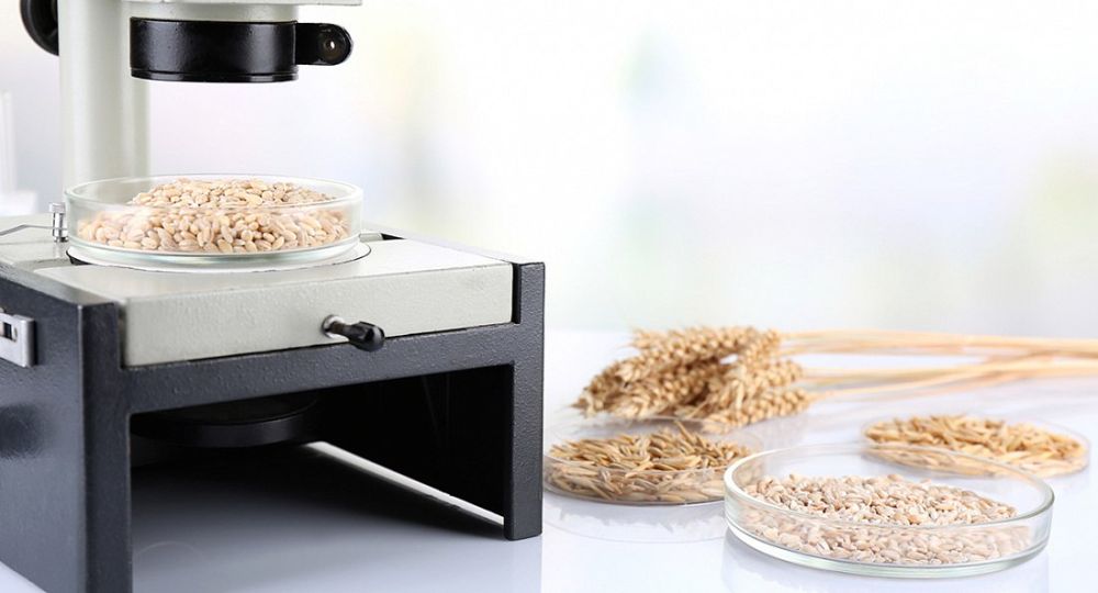 ��������� ������������� ������������ ������ ������ ����� ���������� ����������� ����� ������ ������