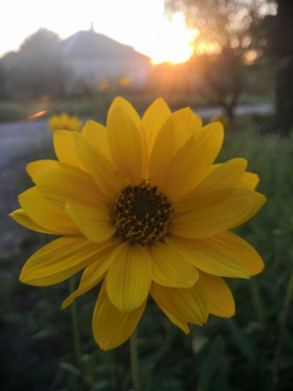 ������� ������� ��� � ����� � ���� ��������