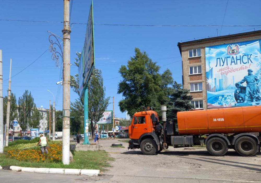 ������ � �������� �� 17 �������