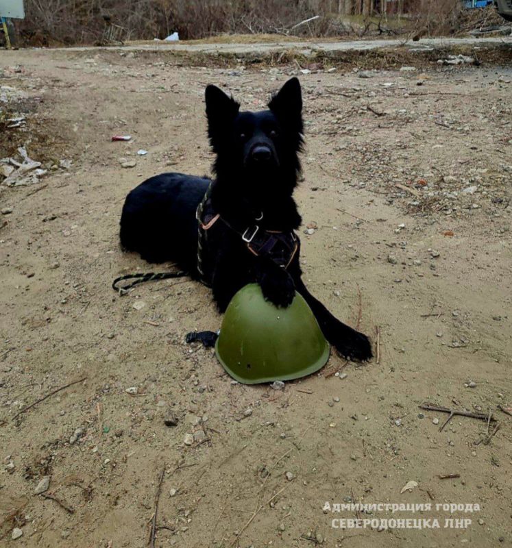 � ������������� �������� ������ �����-���������� �������