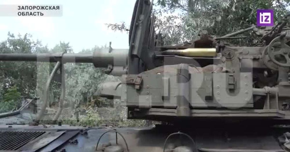 ������� ���������� 20 �������� ��� � ���� ������������