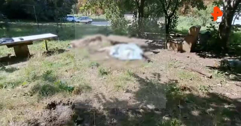 ��������� �������, ������������ ��� ������ ���������� ����������