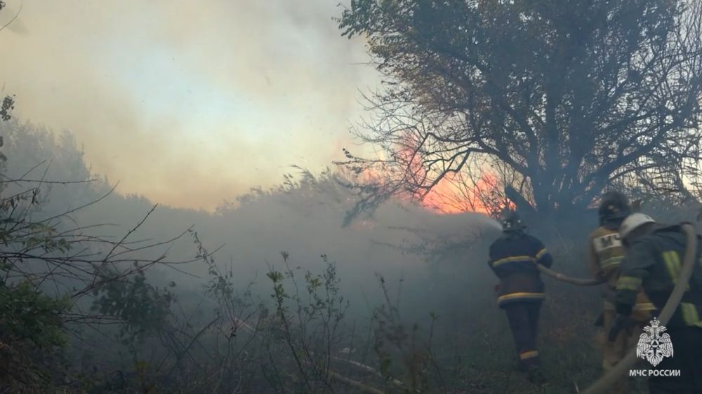 �� �������� ����� ��������� ���������� ������������� 18 ���������� �� �������� �����������