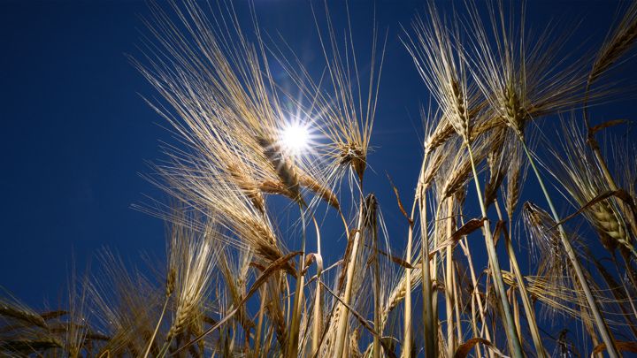 � ��������� �������� ���������� ����������� ��������� ��������