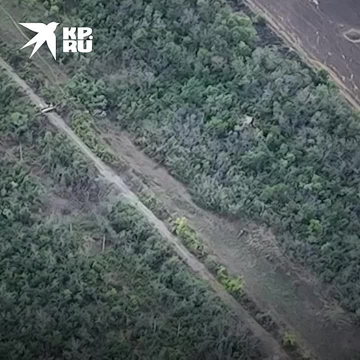 ���������� 6 ������� ����� ����������� ����� ������� ����� ������ ������� �������� ��� �� ����������� �����������