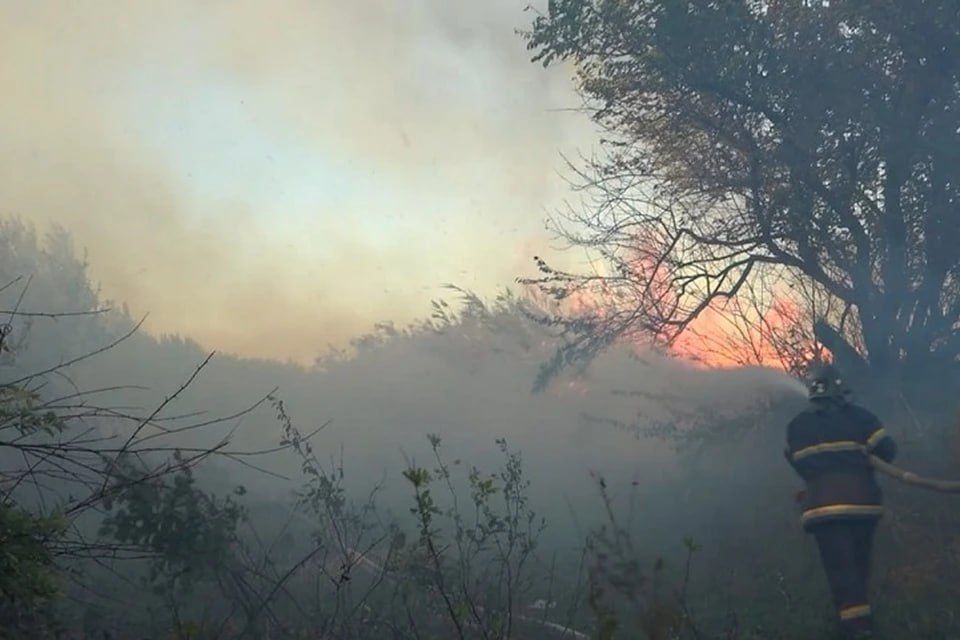 � ��� 17 ������� �������� ����� 24 �������� ����� �����