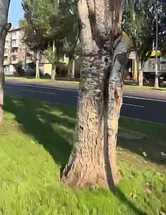 � ������ ��������� �����, ����������!