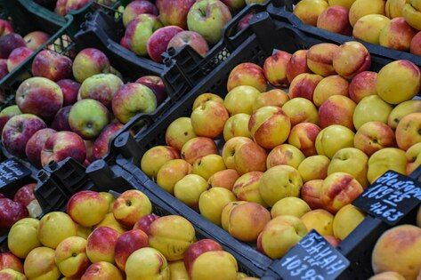 ����������� ����������, ��� ����� �������� � ��� �������� ������