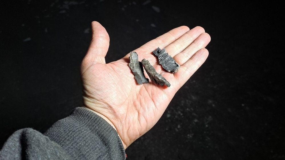 �� ���� ��� 18 ��� ������� ����� �� �������, ������ �������