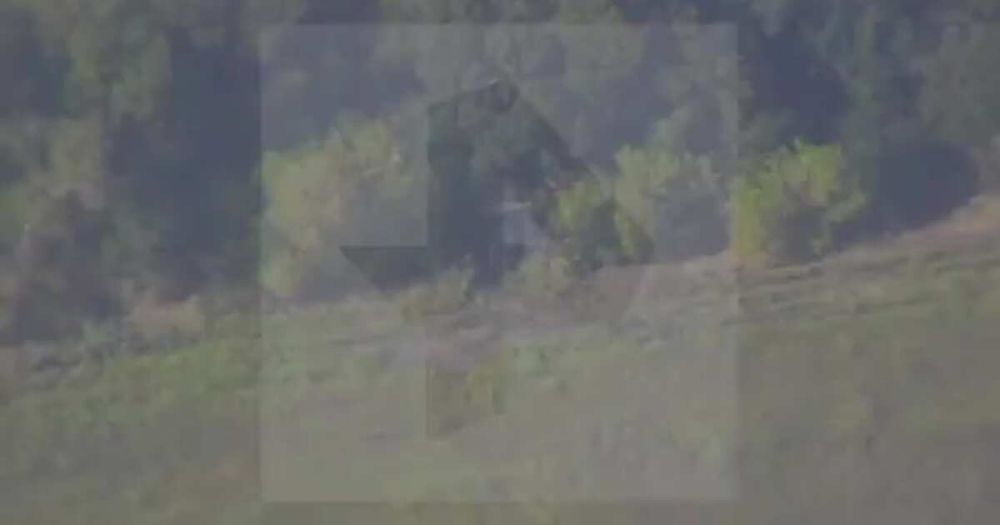 ���������� ������� ���������� ������� ��� "�����������" � "��������"