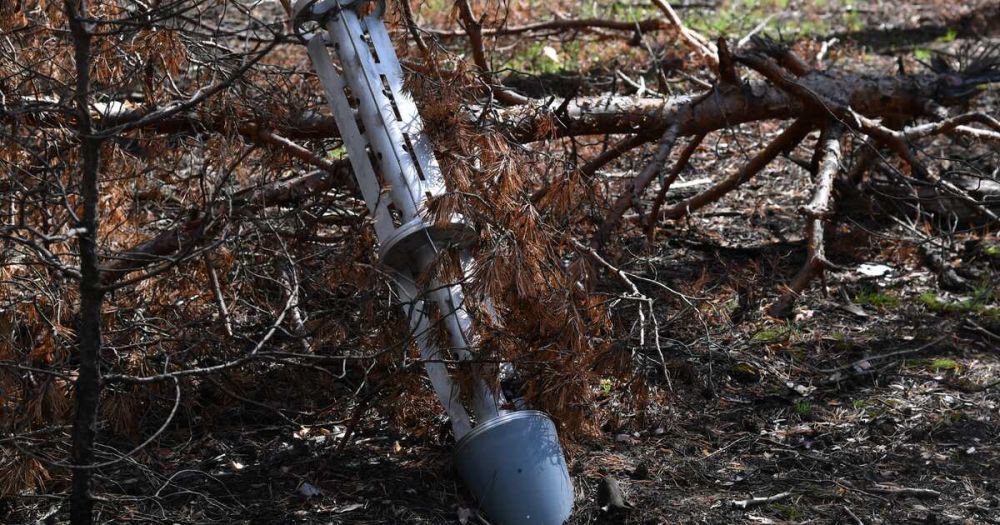 ������� ��������� ���� ��������� �������� �� �������