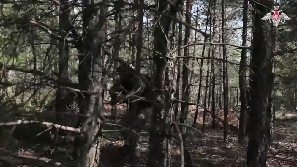 ���������� �� ���� ���������� ������ �������� ������ ��� �� ��������������� �����������