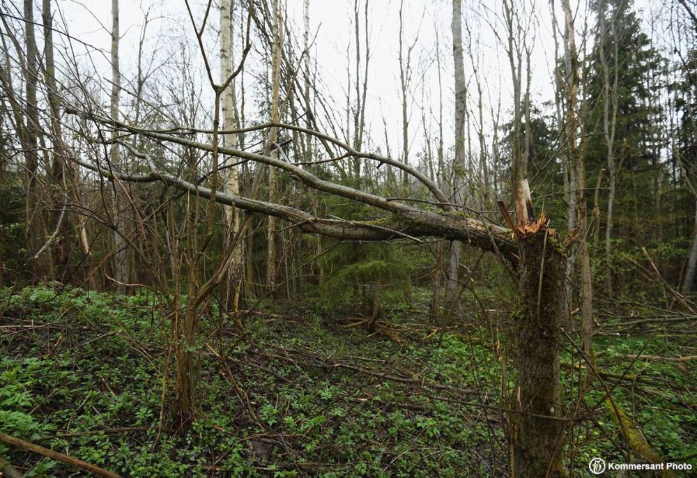 ���������� �� ����������� ������, �������� ������ �� ������ ������ ��������, � ���������� ����������� � ��� �� ����������� �������� � ��������� �������� ��������� (��� � ���), � ����� � ���������� � ����������� ��������