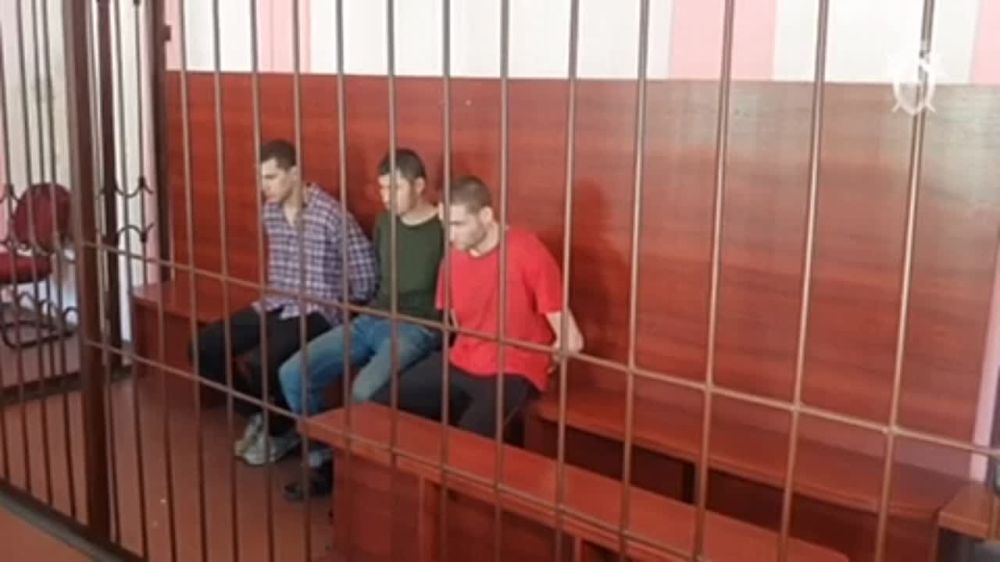 ������� ������* �������� �� 20 ��� �������� ������ �� ������ ������� ���������