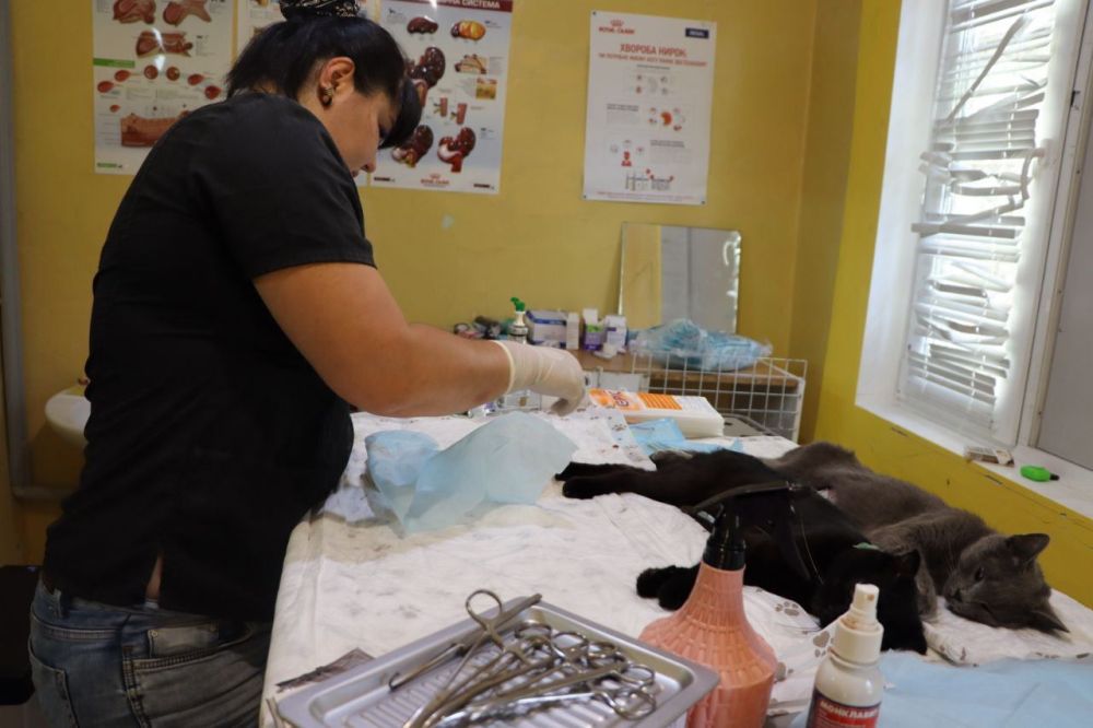 ���������� ��������� ����� "����� ��������" ������� ����� � ������� ������������������ ������ �������� �������������