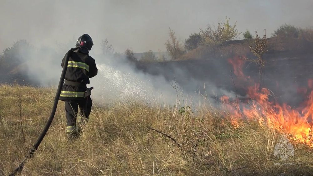 �� �������� ����� �� ���������� ���������� ������������� 33 ������, 30 �� ������� ��������� �� �������� �����������