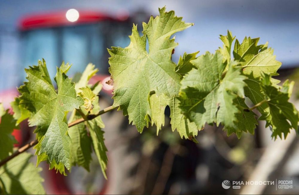 ������ �� ����� ����������� ������