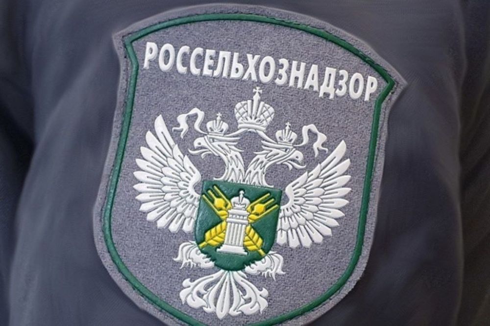 � ��������� �������� ���������� ������������������ ������������ ������ �� ����� ����������������� �����������