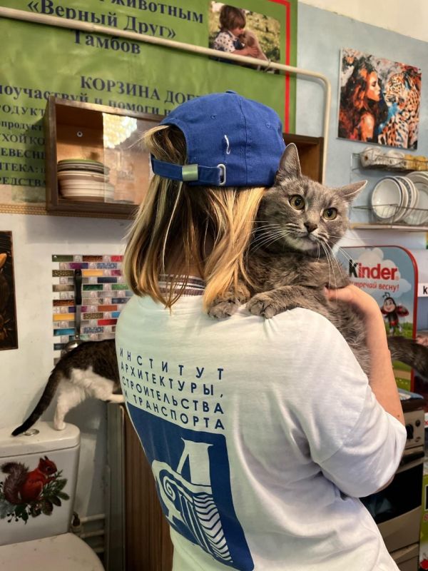 ��������� ����������� ���� �������� ��������� �������� ���. �������� ����������� ���������������� ������������ ������������ �������� ������� ��������� �������� ��������