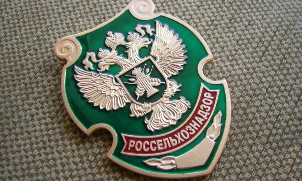 ���������� ����������� (���������) ����������� ��� �������������� � �������������� �����