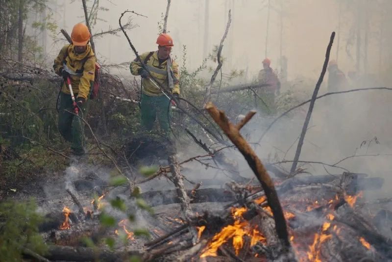 � ��� �������� ������� ��������������� 22 �������