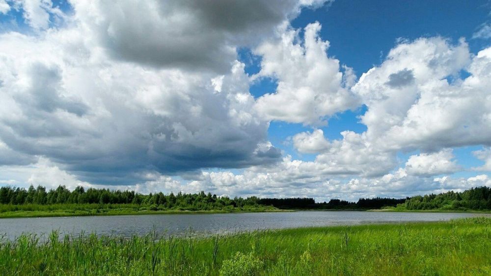 � ��� ��������� �������� ������ � �� 30 �������� ���� 22 �������