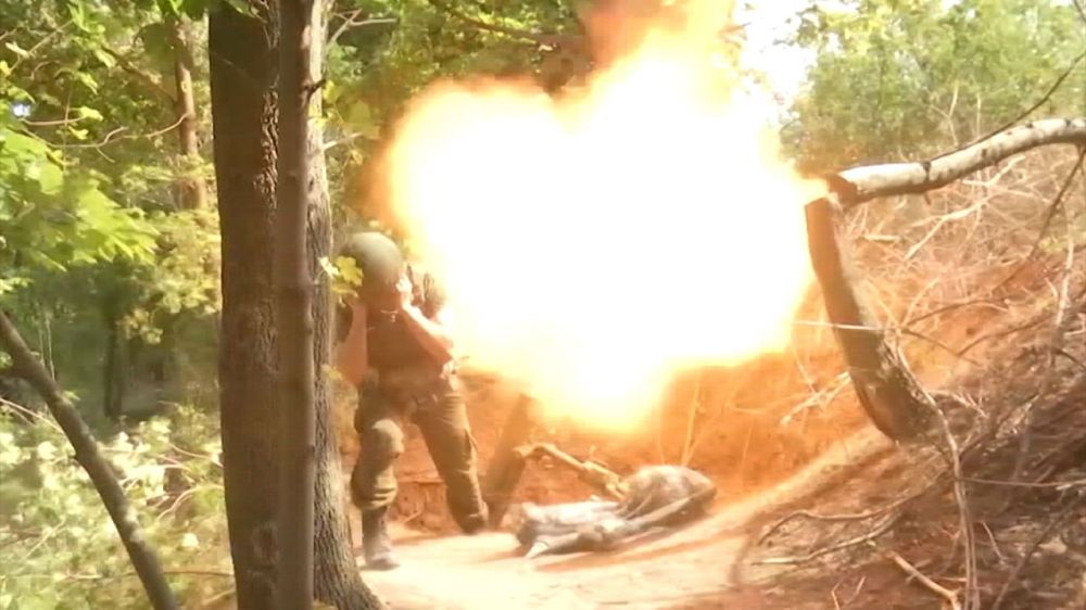 ������ ���� �����������: ��� ������ ���������� ���������� � ���