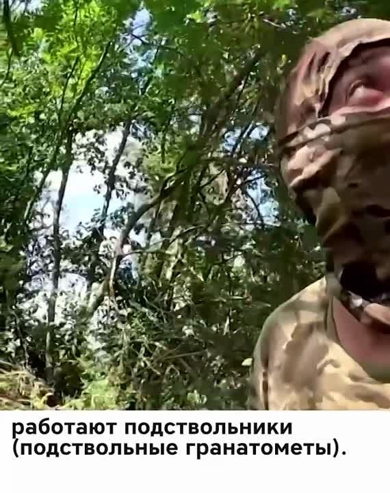 ���������� ������ ��������� �� �����������