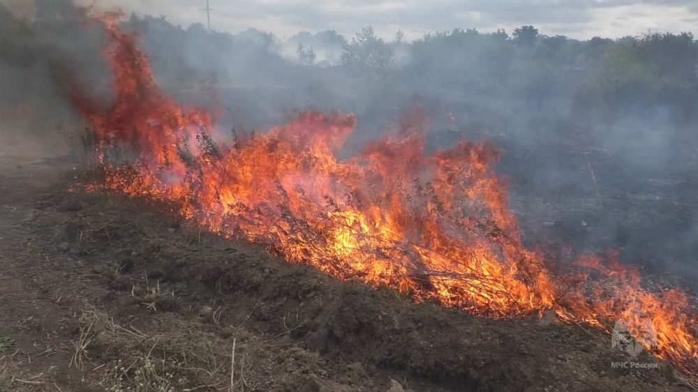 ���������� ����������� ������� �� ���������� ��� ���������� �����