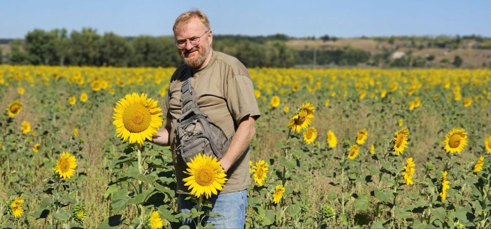 ������� �������: ��� �������� �������, ���������� ����������� ������ �����������