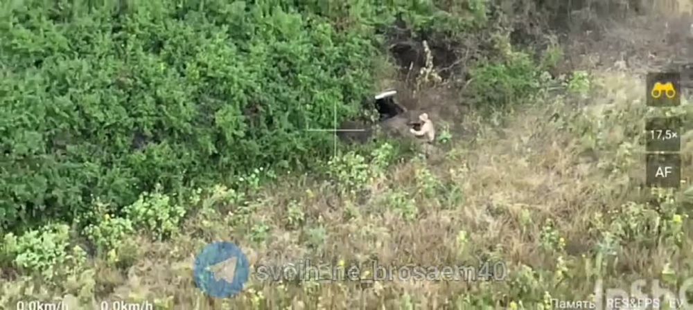 ���� � ���� ����: ���������� ���� � �������� �������� ������� ����� �� ��������������� �����������