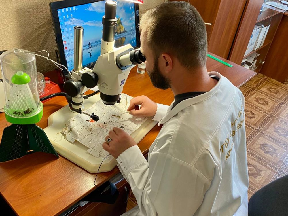 ������� ������ � ������