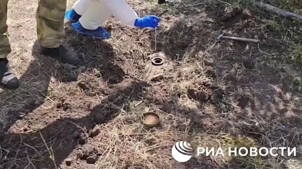 ����� ������������ ���������� ����� �� ������ �������� ��� � ���