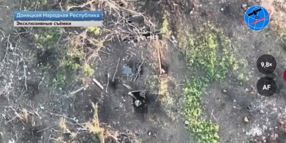 ��� �� ���������: ���������� ������� ����������� ��� �����, �������������� � ���������� ������ � ���� ��� �� ������