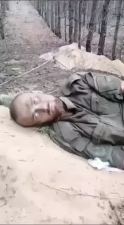 "������ � ���� �������": ������������� ���������� ������ �������� ���� �������������, ����� ��� "�������� � �����"