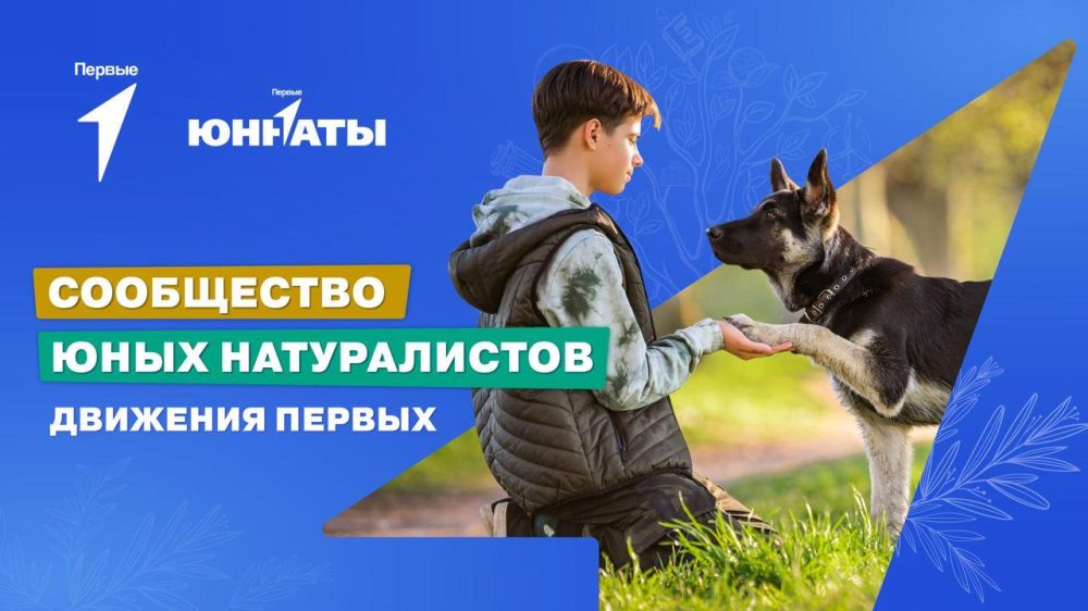 ������ �������� �������?