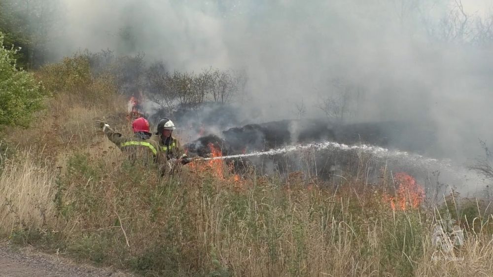 �� �������� �������� ��������� ��� ������������� 71 �����, 59 �� ������� � � ����������