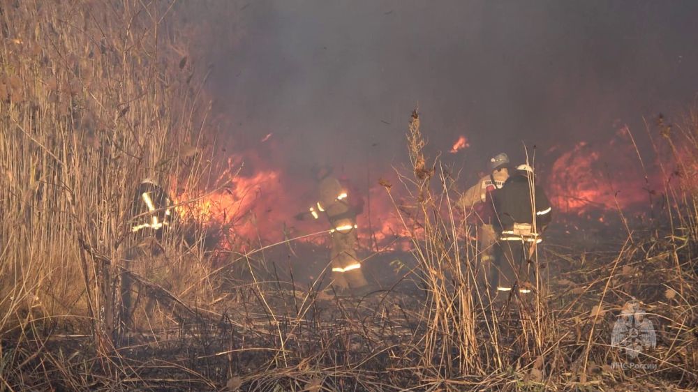 �������� � ������������ �������� �� ���������� ���������� ���������� ���������� ���������