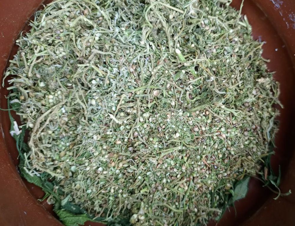 ����������� ������ � ������ ��������� ���������� ��������, ������������� �������� � ����������