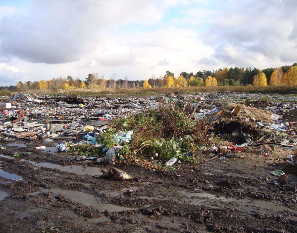 ���������� ����������������� �� ��� �������������, ������������������� ���������� ������� ������� ������� �� ������ ��������������������� ���������� �������� ���������� ���������� ���������������� ���������� ���������